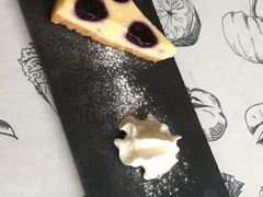 -吉丁鸟咖·异宠·寄养