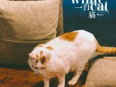 -B.O.M波姆烘焙(凤凰街店)