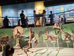 -国家自然博物馆