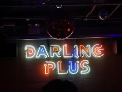 -Darling Queen·Mini·Live·House