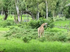 -卡塞拉自然公园