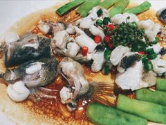 -猪肉婆私房菜(容桂总店)