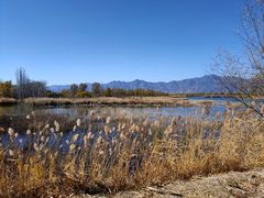 -野鸭湖国家湿地公园