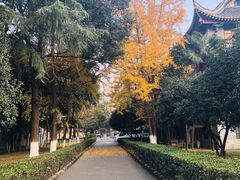 -四川大学(华西校区)