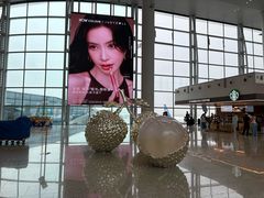 -广州白云国际机场-T2航站楼