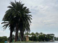 -宝安西湾红树林湿地公园