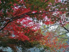 -崂山巨峰游览区