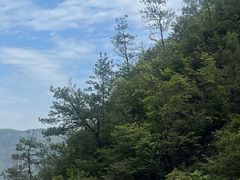 -楠溪江风景名胜区