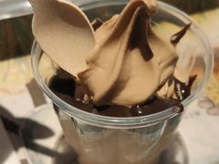 海盐椰子风味新地-麦当劳(宝山大厦店)