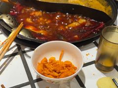 -朱光玉火锅馆(正弘城店)