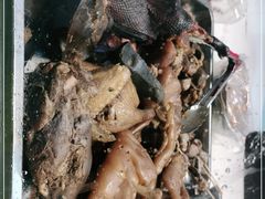 -王浩儿纪六孃甜皮鸭(乐山总店)