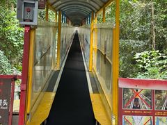 -七仙岭温泉国家森林公园