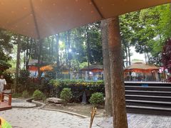 -二荆条·蜀鲜汇城市森林火锅