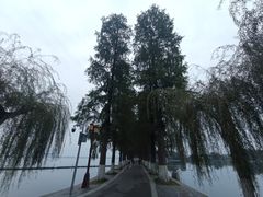 -东湖听涛景区