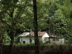 -素山寺森林公园