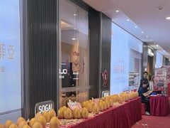 -索菲亚衣柜橱柜全屋定制(真北红星店)