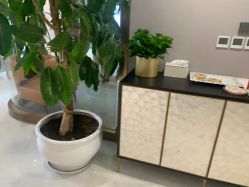 -云南吴氏嘉美医疗美容医院