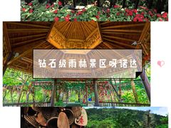 -呀诺达热带雨林