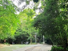 -紫金山山顶公园