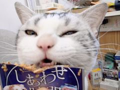 -袖虎宠物(锦绣生态园店)