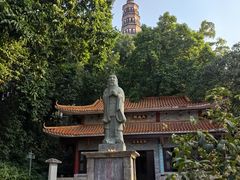-顺峰山公园