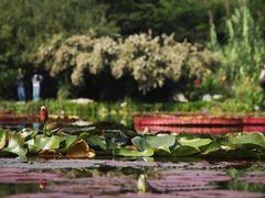 -国家植物园南园