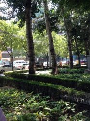 iphone_upload_pic-亮亮美甲美睫