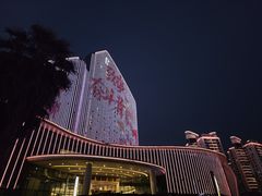 -东旭阳光国际大酒店