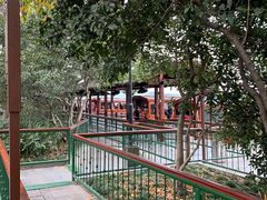 -西湖外事游船(花港观鱼码头)