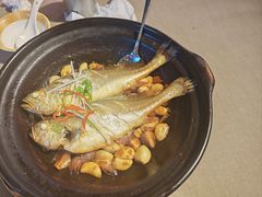 -有喜胶东小馆(太申祥和店)