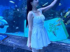 -海合安成都极地海洋公园