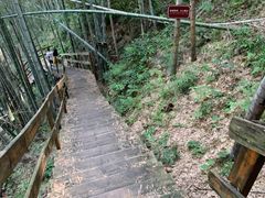 -宁波浙东大竹海景区