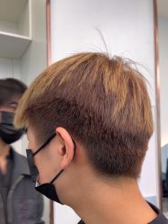 -YESIDO椰岛造型