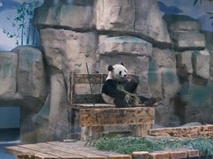 -无锡动物园·太湖欢乐园