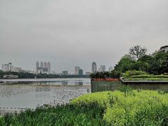 -南宁南湖公园