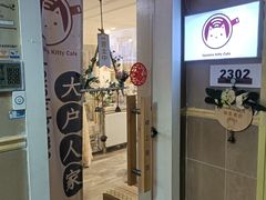-楼上猫咖(罗湖店)