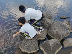 -五营红松林海景区