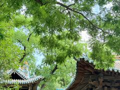 -晋祠博物馆