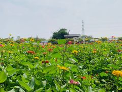 -盈香心动乐园
