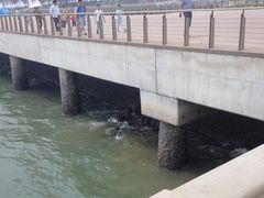 景点-东疆建设开发纪念公园