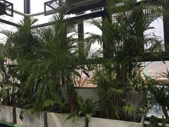 -北马山庄植趣咖啡