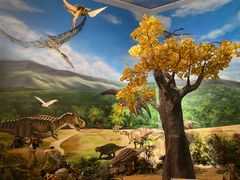 -安徽省地质博物馆