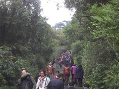 -东部华侨城