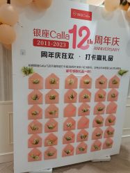 -银座Calla日式美容沙龙