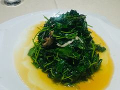 -大富贵(旗舰店)