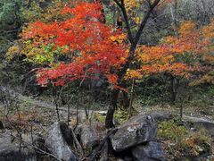 -玉渡山自然风景区