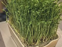 -海底捞火锅(长宁路龙之梦店)