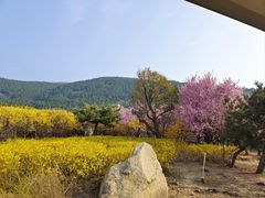 -泰山风景名胜区