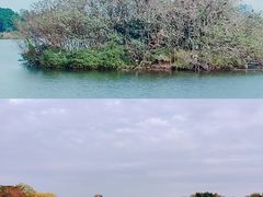 -海珠湖公园