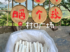 -篁岭景区